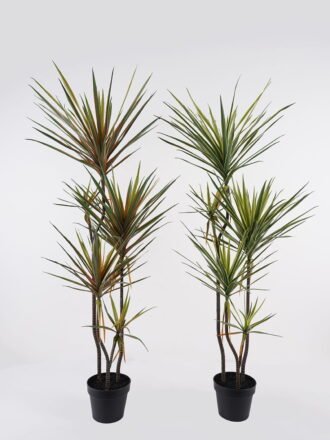 Artificial Tree 55*48*150cm Dracaena *5 in PP pot/165 lvs GS-41925041 2025AUG 3,000+ sqm showroom with thousands of artificial flowers, plants & trees ready for global sourcing.