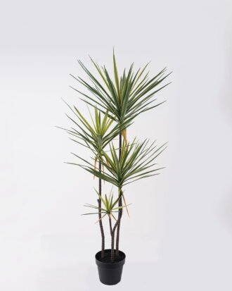 Artificial Tree 55*45*120cm Dracaena *4 in PP pot/138 lvs GS-41925040 2025AUG YeahFlower is one of Chinese leading OEM manufacturers and exporters , supplying the silk flowers, wholesale artificial trees Artificial Tree 55*45*120cm Dracaena *4 in PP pot/138 lvs GS-41925040 2025AUG YeahFlower is one of Chinese leading OEM manufacturers and exporters , supplying the silk flowers, wholesale artificial trees