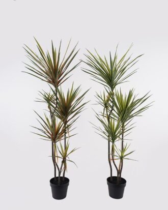 Artificial Tree 55*48*150cm Dracaena *5 in PP pot/165 lvs GS-41925041 2025AUG YeahFlower is one of Chinese leading OEM manufacturers and exporters , supplying the silk flowers, wholesale artificial trees Artificial Tree 55*48*150cm Dracaena *5 in PP pot/165 lvs GS-41925041 2025AUG YeahFlower is one of Chinese leading OEM manufacturers and exporters , supplying the silk flowers, wholesale artificial trees