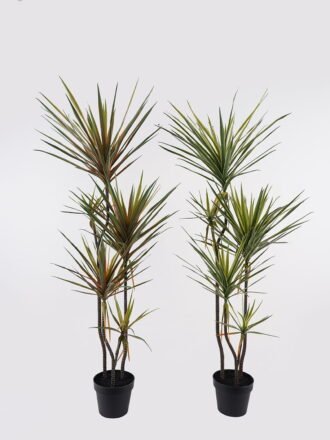 Artificial Tree 65*65*200cm Dracaena in PP pot/11 lvs GS-41925044 2025AUG 3,000+ sqm showroom with thousands of artificial flowers, plants & trees ready for global sourcing.