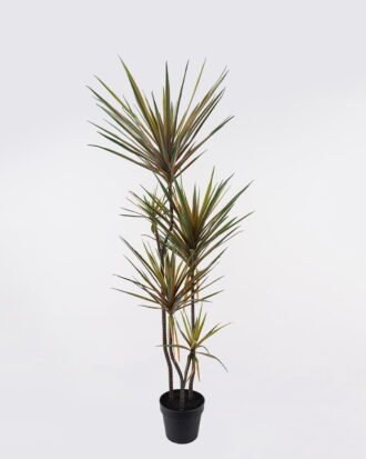 Artificial Tree 55*48*150cm Dracaena *5 in PP pot/165 lvs GS-41925041 2025AUG YeahFlower is one of Chinese leading OEM manufacturers and exporters , supplying the silk flowers, wholesale artificial trees Artificial Tree 55*48*150cm Dracaena *5 in PP pot/165 lvs GS-41925041 2025AUG YeahFlower is one of Chinese leading OEM manufacturers and exporters , supplying the silk flowers, wholesale artificial trees