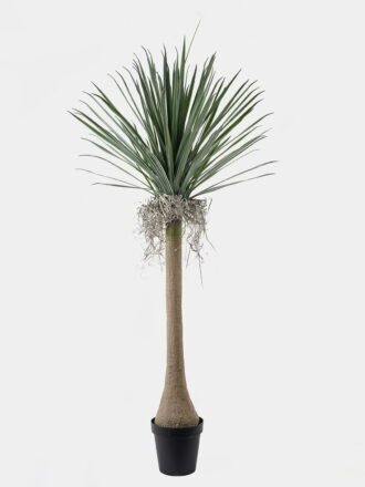 Artificial Tree 100*100*250cm Dracaena in PP pot/11 lvs GS-41925045 2025AUG 3,000+ sqm showroom with thousands of artificial flowers, plants & trees ready for global sourcing.