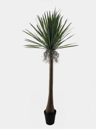 Artificial Tree 50*50*80cm Aloe vera in PP pot/11 lvs GS-41925046 2025AUG 3,000+ sqm showroom with thousands of artificial flowers, plants & trees ready for global sourcing.