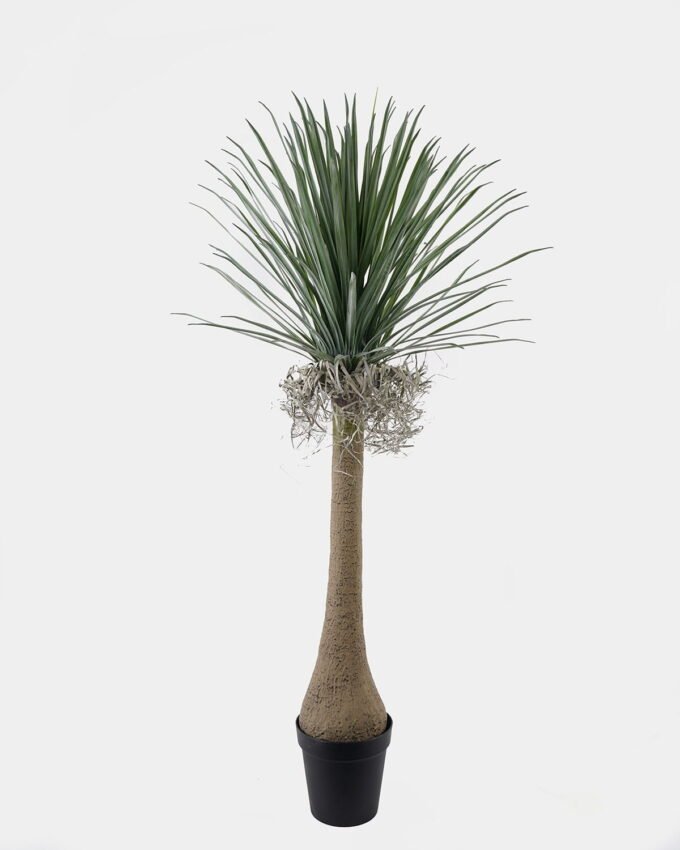 Artificial Tree 60*60*165cm Dracaena in PP pot/150 lvs GS-41925043 2025AUG YeahFlower is one of Chinese leading OEM manufacturers and exporters , supplying the silk flowers, wholesale artificial trees