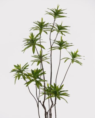 Artificial Tree 58*58*160cm Dracaena reflexa *11 in PP pot GS-79425002 2025SEP YeahFlower is one of Chinese leading OEM manufacturers and exporters , supplying the silk flowers, wholesale artificial trees Artificial Tree 58*58*160cm Dracaena reflexa *11 in PP pot GS-79425002 2025SEP YeahFlower is one of Chinese leading OEM manufacturers and exporters , supplying the silk flowers, wholesale artificial trees