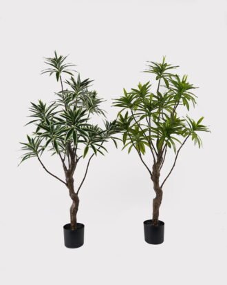 Artificial Tree 58*58*140cm Dracaena reflexa *12 in PP pot GS-79425001 2025SEP YeahFlower is one of Chinese leading OEM manufacturers and exporters , supplying the silk flowers, wholesale artificial trees Artificial Tree 58*58*140cm Dracaena reflexa *12 in PP pot GS-79425001 2025SEP YeahFlower is one of Chinese leading OEM manufacturers and exporters , supplying the silk flowers, wholesale artificial trees