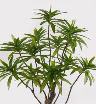 Artificial Tree 58*58*140cm Dracaena reflexa *12 in PP pot GS-79425001 2025SEP YeahFlower is one of Chinese leading OEM manufacturers and exporters , supplying the silk flowers, wholesale artificial trees Artificial Tree 58*58*140cm Dracaena reflexa *12 in PP pot GS-79425001 2025SEP YeahFlower is one of Chinese leading OEM manufacturers and exporters , supplying the silk flowers, wholesale artificial trees