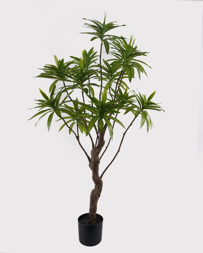 Artificial Tree 58*58*140cm Dracaena reflexa *12 in PP pot GS-79425001 2025SEP YeahFlower is one of Chinese leading OEM manufacturers and exporters , supplying the silk flowers, wholesale artificial trees
