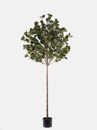 Artificial Tree 70*70*150cm Hibiscus rosa-sinensis L. tree in pp pot GS-46725056 2025JUL YeahFlower is one of Chinese leading OEM manufacturers and exporters , supplying the silk flowers, wholesale artificial trees