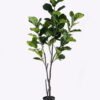 Artificial Tree 112*80*210cm Ficus Lyrata in PP pot GS-46725008 2025AUG YeahFlower is one of Chinese leading OEM manufacturers and exporters , supplying the silk flowers, wholesale artificial trees