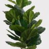 Artificial Tree 32*32*100cm Ficus lyrata *3 in PP Pot GS-51125005 2025JUL YeahFlower is one of Chinese leading OEM manufacturers and exporters , supplying the silk flowers, wholesale artificial trees