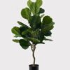 Artificial Tree 55*55*130cm Ficus lyrata in PP Pot GS-51125006 2025JUL YeahFlower is one of Chinese leading OEM manufacturers and exporters , supplying the silk flowers, wholesale artificial trees