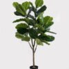 Artificial Tree 60*60*150cm Ficus lyrata in PP Pot GS-51125007 2025JUL YeahFlower is one of Chinese leading OEM manufacturers and exporters , supplying the silk flowers, wholesale artificial trees