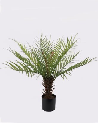 Artificial Tree 30*30*70cm Frond in PP pot/12 lvs GS-43425005 2025AUG YeahFlower is one of Chinese leading OEM manufacturers and exporters , supplying the silk flowers, wholesale artificial trees