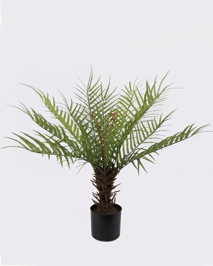 Artificial Tree 30*30*70cm Frond in PP pot/12 lvs GS-43425005 2025AUG YeahFlower is one of Chinese leading OEM manufacturers and exporters , supplying the silk flowers, wholesale artificial trees