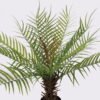 Artificial Tree 30*30*70cm Frond in PP pot/12 lvs GS-43425005 2025AUG YeahFlower is one of Chinese leading OEM manufacturers and exporters , supplying the silk flowers, wholesale artificial trees