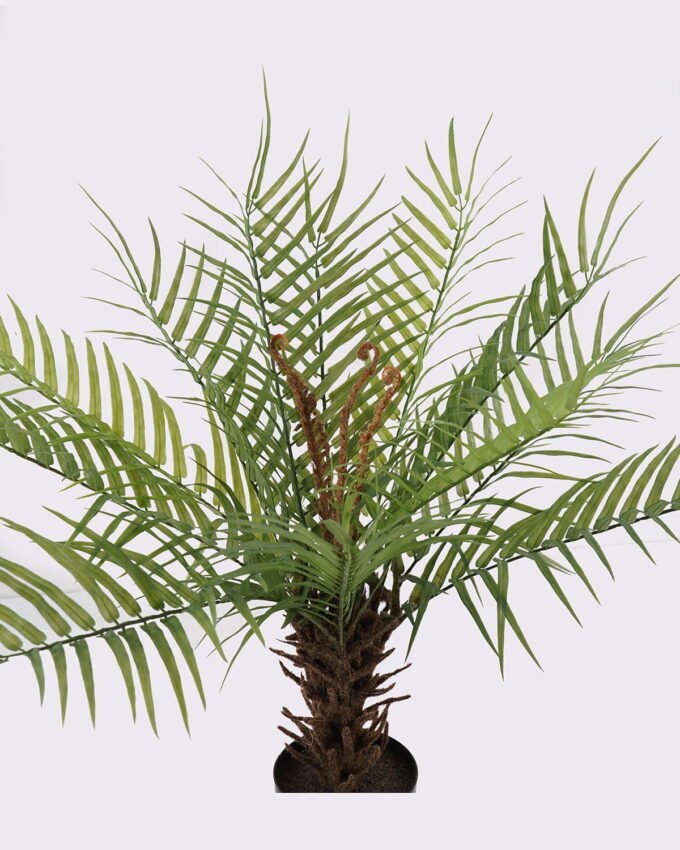 Artificial Tree 30*30*70cm Frond in PP pot/12 lvs GS-43425005 2025AUG YeahFlower is one of Chinese leading OEM manufacturers and exporters , supplying the silk flowers, wholesale artificial trees