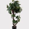 Artificial Tree 35*40*110cm Grapevine in PP pot GS-79425003 2025SEP YeahFlower is one of Chinese leading OEM manufacturers and exporters , supplying the silk flowers, wholesale artificial trees