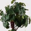 Artificial Tree 35*40*110cm Grapevine in PP pot GS-79425003 2025SEP YeahFlower is one of Chinese leading OEM manufacturers and exporters , supplying the silk flowers, wholesale artificial trees