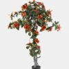 Artificial Tree 70*70*120cm Hibiscus rosa-sinensis L tree in pp pot GS-46725055 2025JUL YeahFlower is one of Chinese leading OEM manufacturers and exporters , supplying the silk flowers, wholesale artificial trees
