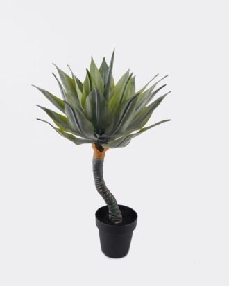 Artificial Tree 30*30*65cm Lechuguilla in PP pot/24 lvs GS-41925038 2025AUG YeahFlower is one of Chinese leading OEM manufacturers and exporters , supplying the silk flowers, wholesale artificial trees Artificial Tree 30*30*65cm Lechuguilla in PP pot/24 lvs GS-41925038 2025AUG YeahFlower is one of Chinese leading OEM manufacturers and exporters , supplying the silk flowers, wholesale artificial trees