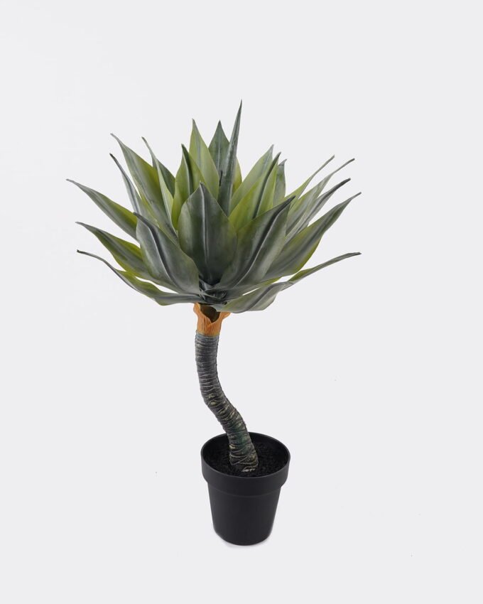 Artificial Tree 30*30*65cm Lechuguilla in PP pot/24 lvs GS-41925038 2025AUG YeahFlower is one of Chinese leading OEM manufacturers and exporters , supplying the silk flowers, wholesale artificial trees