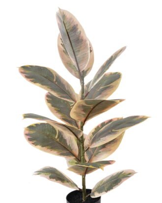 Artificial Tree 31*31*59cm Mini rubber tree in PP Pot/15 lvs GS-72825005 2025SEP YeahFlower is one of Chinese leading OEM manufacturers and exporters , supplying the silk flowers, wholesale artificial trees Artificial Tree 31*31*59cm Mini rubber tree in PP Pot/15 lvs GS-72825005 2025SEP YeahFlower is one of Chinese leading OEM manufacturers and exporters , supplying the silk flowers, wholesale artificial trees