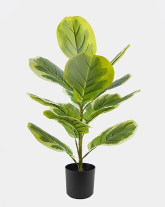 Artificial Tree 17*17*86cm Nephthytis *3 bush GS-72825008 2025SEP YeahFlower is one of Chinese leading OEM manufacturers and exporters , supplying the silk flowers, wholesale artificial trees Artificial Tree 17*17*86cm Nephthytis *3 bush GS-72825008 2025SEP YeahFlower is one of Chinese leading OEM manufacturers and exporters , supplying the silk flowers, wholesale artificial trees