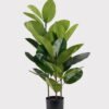 Artificial Tree 46*46*100cm Rubber tree *3 in PP Pot GS-51125001 2025JUL YeahFlower is one of Chinese leading OEM manufacturers and exporters , supplying the silk flowers, wholesale artificial trees