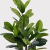 Artificial Tree 66*66*130cm Rubber tree in PP Pot GS-51125002 2025JUL YeahFlower is one of Chinese leading OEM manufacturers and exporters , supplying the silk flowers, wholesale artificial trees