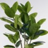 Artificial Tree 80*80*150cm Rubber tree in PP Pot GS-51125003 2025JUL YeahFlower is one of Chinese leading OEM manufacturers and exporters , supplying the silk flowers, wholesale artificial trees