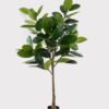 Artificial Tree Rubber tree in PP Pot GS-51125004_1 Artificial Tree 88*88*180cm Rubber tree in PP Pot GS-51125004 2025JUL YeahFlower is one of Chinese leading OEM manufacturers and exporters , supplying the silk flowers, wholesale artificial trees