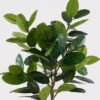 Artificial Tree Rubber tree in PP Pot GS-51125004_4 Artificial Tree 88*88*180cm Rubber tree in PP Pot GS-51125004 2025JUL YeahFlower is one of Chinese leading OEM manufacturers and exporters , supplying the silk flowers, wholesale artificial trees