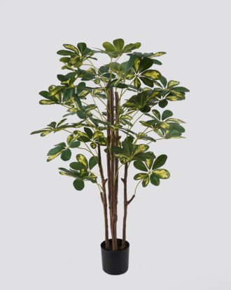 Artificial Tree 60*60*90cm Schefflera tree *5 in PP pot GS-79425006 2025SEP YeahFlower is one of Chinese leading OEM manufacturers and exporters , supplying the silk flowers, wholesale artificial trees Artificial Tree 60*60*90cm Schefflera tree *5 in PP pot GS-79425006 2025SEP YeahFlower is one of Chinese leading OEM manufacturers and exporters , supplying the silk flowers, wholesale artificial trees
