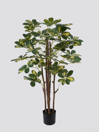 Artificial Table Plants 25*25*18cm Leaves *39 in pp pot GS-70125001 2025SEP YeahFlower is one of Chinese leading OEM manufacturers and exporters , supplying the silk flowers, wholesale artificial trees