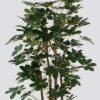 Artificial Tree Schefflera tree 5 in PP pot GS-79425007_4 Artificial Tree 70*70*150cm Schefflera tree *5 in PP pot GS-79425007 2025SEP YeahFlower is one of Chinese leading OEM manufacturers and exporters , supplying the silk flowers, wholesale artificial trees