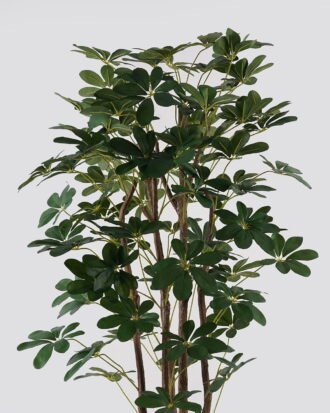Artificial Tree 70*70*150cm Schefflera tree *5 in PP pot GS-79425007 2025SEP YeahFlower is one of Chinese leading OEM manufacturers and exporters , supplying the silk flowers, wholesale artificial trees Artificial Tree 70*70*150cm Schefflera tree *5 in PP pot GS-79425007 2025SEP YeahFlower is one of Chinese leading OEM manufacturers and exporters , supplying the silk flowers, wholesale artificial trees