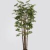 Artificial Tree 80*80*180cm Schefflera tree *5 in PP pot GS-79425008 2025SEP YeahFlower is one of Chinese leading OEM manufacturers and exporters , supplying the silk flowers, wholesale artificial trees