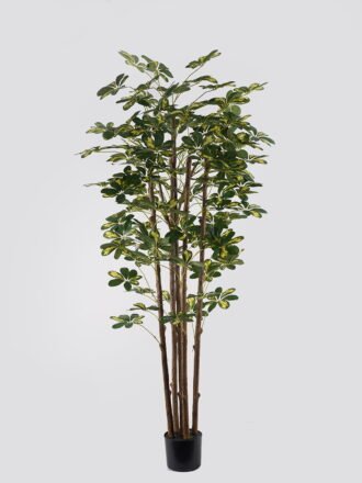 Artificial Tree 70*70*150cm Schefflera tree *5 in PP pot GS-79425007 2025SEP 3,000+ sqm showroom with thousands of artificial flowers, plants & trees ready for global sourcing.