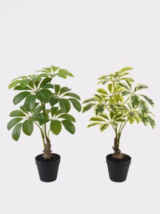 Artificial Tree 65*55*160cm Schefflera tree in PP pot GS-46725003 2025AUG 3,000+ sqm showroom with thousands of artificial flowers, plants & trees ready for global sourcing.