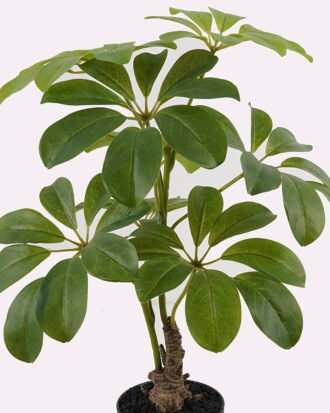 Artificial Tree 35*23*52cm Schefflera tree  in PP pot GS-46725001 2025AUG YeahFlower is one of Chinese leading OEM manufacturers and exporters , supplying the silk flowers, wholesale artificial trees