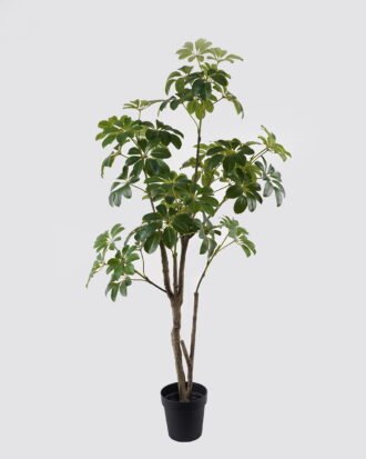 Artificial Tree 65*55*160cm Schefflera tree in PP pot GS-46725003 2025AUG YeahFlower is one of Chinese leading OEM manufacturers and exporters , supplying the silk flowers, wholesale artificial trees
