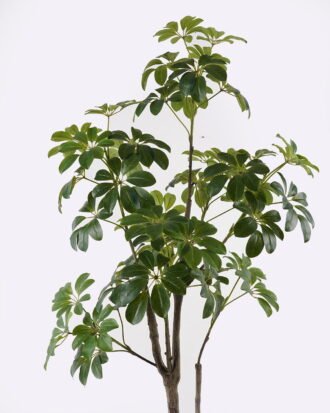 Artificial Tree 65*55*160cm Schefflera tree in PP pot GS-46725003 2025AUG YeahFlower is one of Chinese leading OEM manufacturers and exporters , supplying the silk flowers, wholesale artificial trees