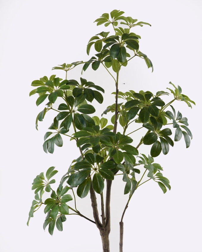 Artificial Tree 65*55*160cm Schefflera tree in PP pot GS-46725003 2025AUG YeahFlower is one of Chinese leading OEM manufacturers and exporters , supplying the silk flowers, wholesale artificial trees