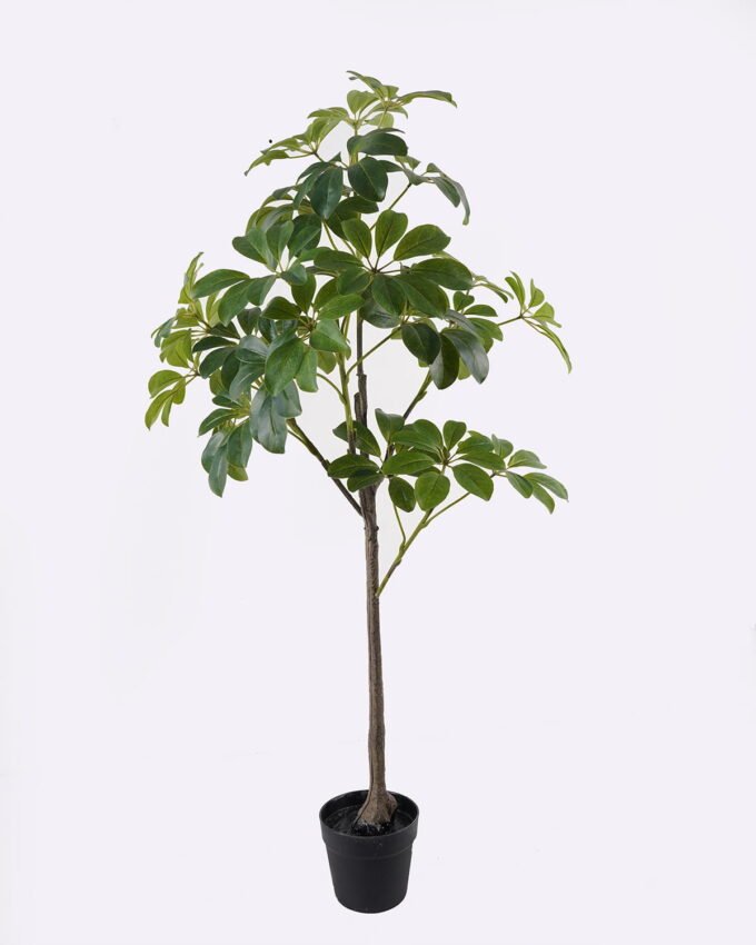 Artificial Tree 55*45*120cm Tree in PP pot GS-46725004 2025AUG YeahFlower is one of Chinese leading OEM manufacturers and exporters , supplying the silk flowers, wholesale artificial trees