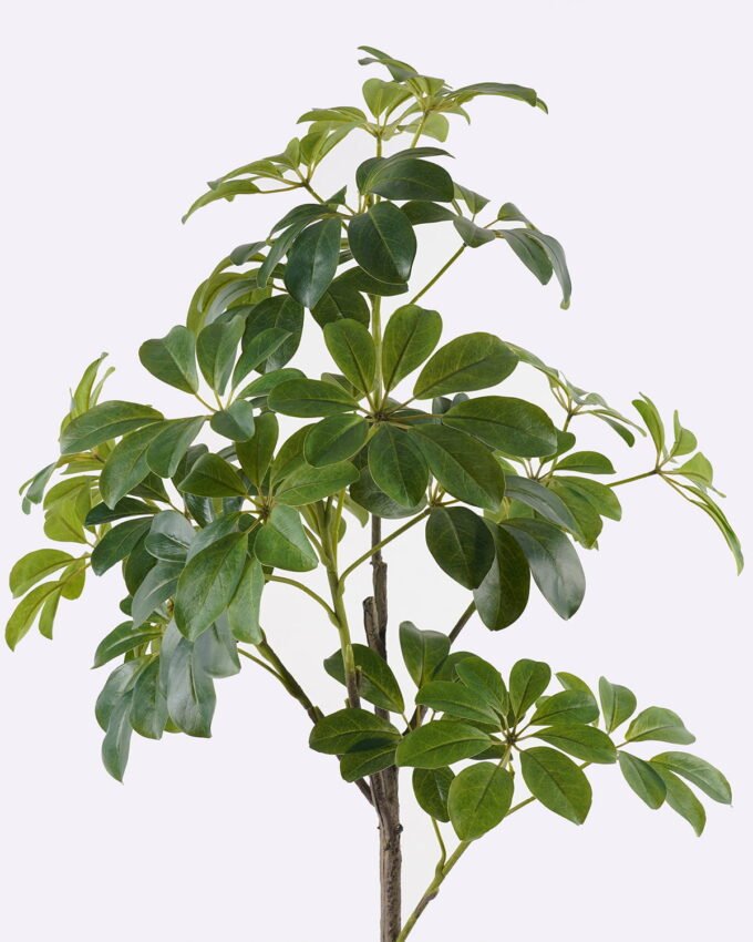 Artificial Tree 55*45*120cm Tree in PP pot GS-46725004 2025AUG YeahFlower is one of Chinese leading OEM manufacturers and exporters , supplying the silk flowers, wholesale artificial trees