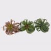 Artificial succulent 40*40*33cm AIR GRASS WITH  single stem GS-34125001 2025AUG YeahFlower is one of Chinese leading OEM manufacturers and exporters , supplying the silk flowers, wholesale artificial trees