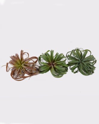 Artificial succulent 40*40*33cm AIR GRASS WITH  single stem GS-34125001 2025AUG YeahFlower is one of Chinese leading OEM manufacturers and exporters , supplying the silk flowers, wholesale artificial trees