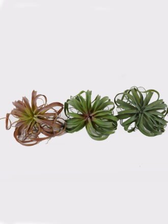 Artificial succulent 24*24*24cm AIR GRASS WITH  single stem GS-34125003 2025AUG 3,000+ sqm showroom with thousands of artificial flowers, plants & trees ready for global sourcing.