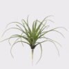 Artificial succulent 24*24*24cm AIR GRASS WITH  single stem GS-34125003 2025AUG YeahFlower is one of Chinese leading OEM manufacturers and exporters , supplying the silk flowers, wholesale artificial trees